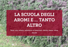 Schermata 2018-10-28 alle 19.31.55