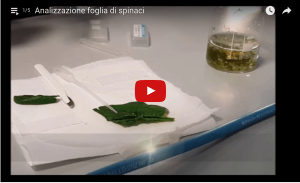 Schermata 2017-04-23 alle 23.37.59