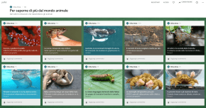 Schermata 2017-03-19 alle 19.20.39-min