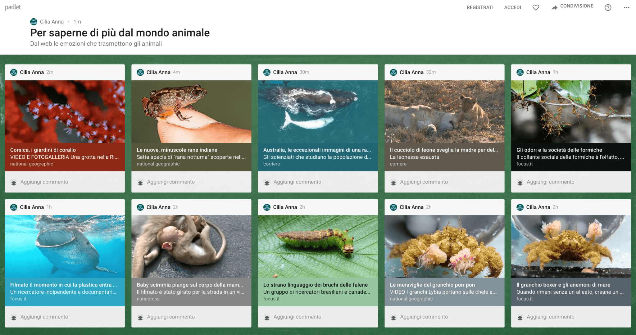 Schermata 2017-03-19 alle 19.20.39-min