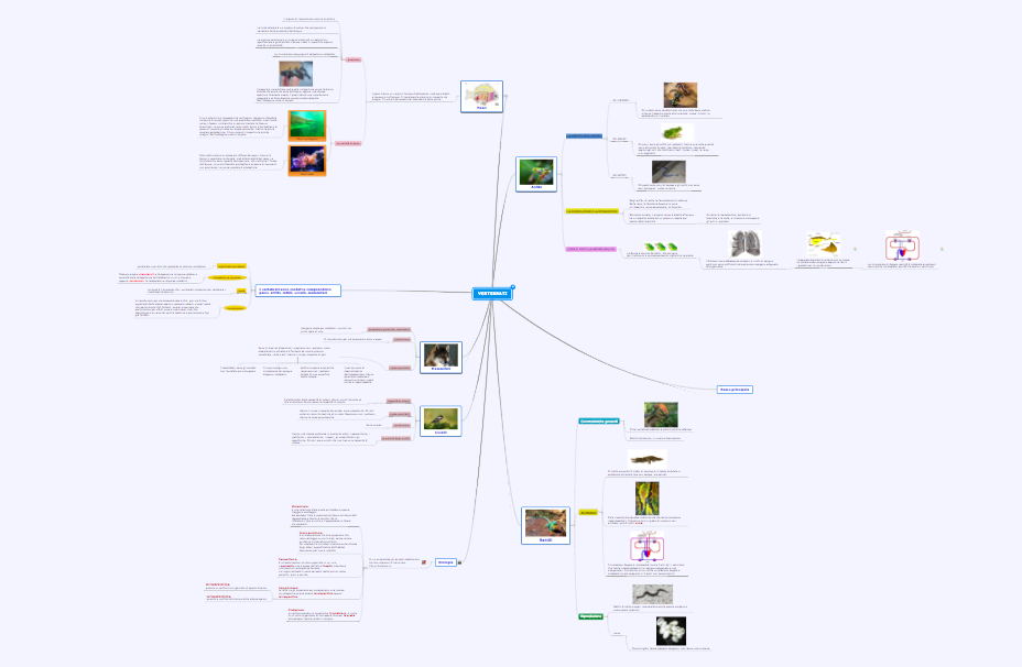 Schermata 2017-12-05 alle 10.39.48