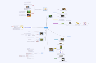 Schermata 2017-12-05 alle 10.39.48