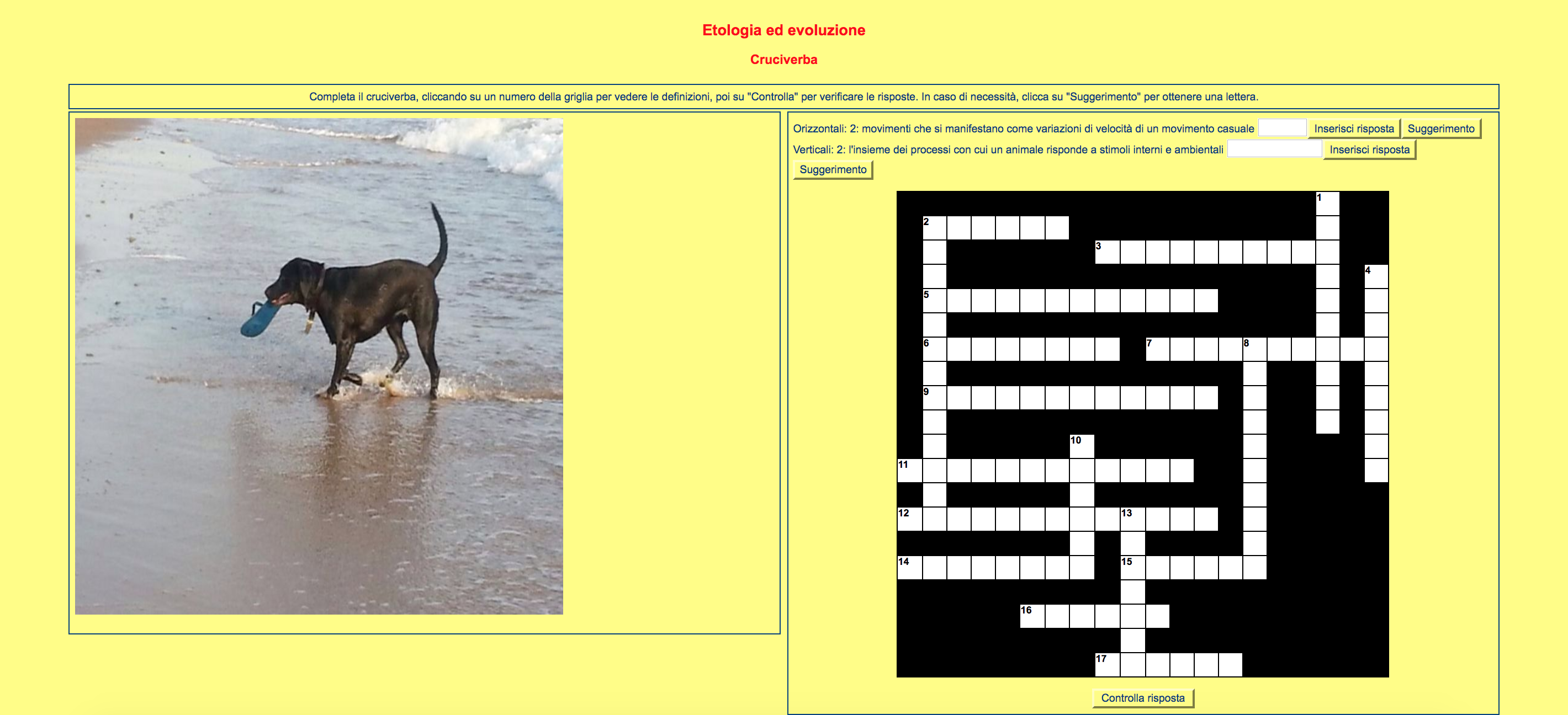 Schermata 2018-01-06 alle 22.18.15