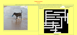 Schermata 2018-01-06 alle 22.18.15