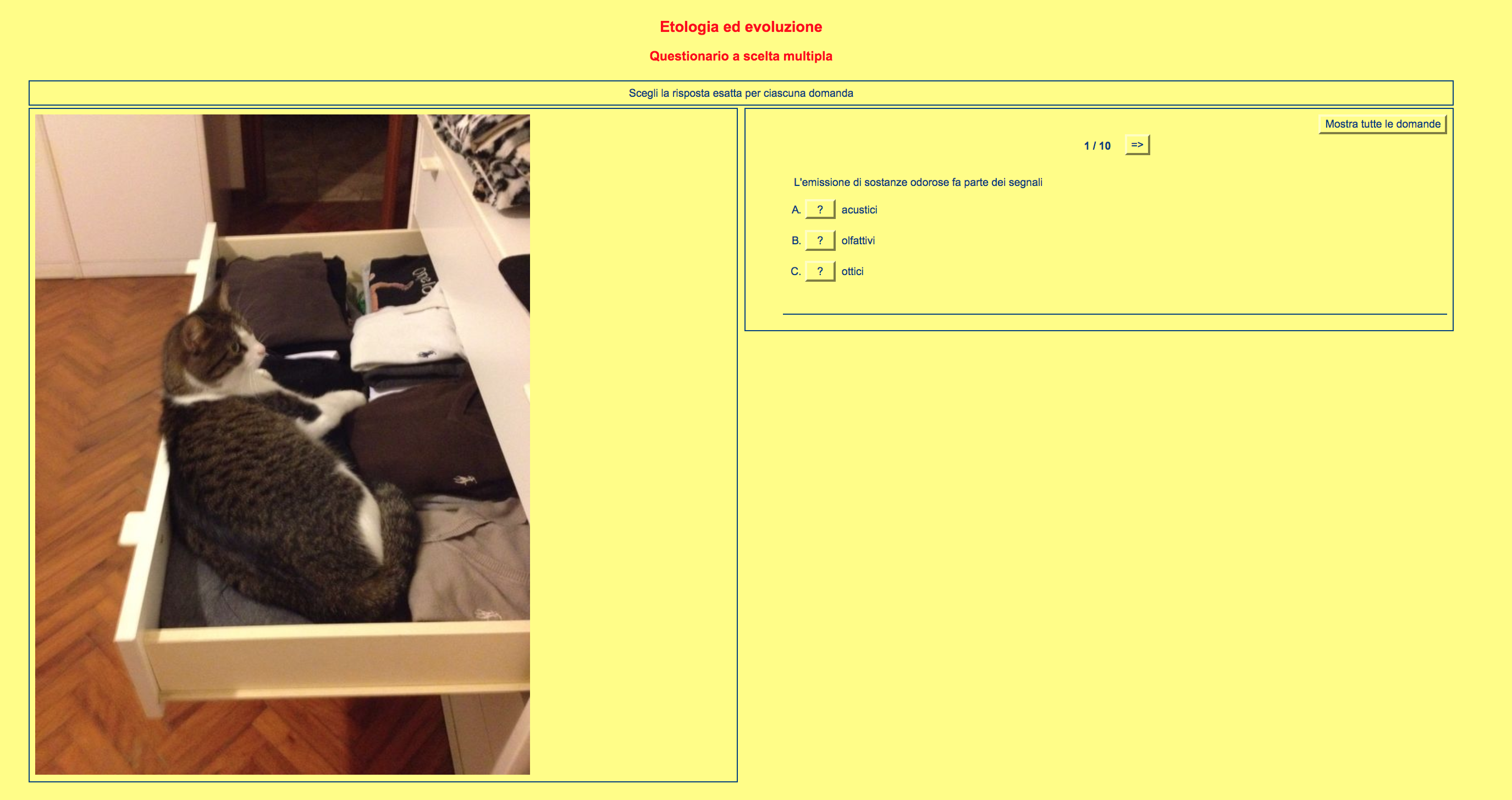 Schermata 2018-01-06 alle 22.30.27